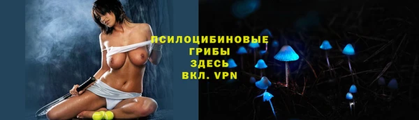 спиды Богородицк