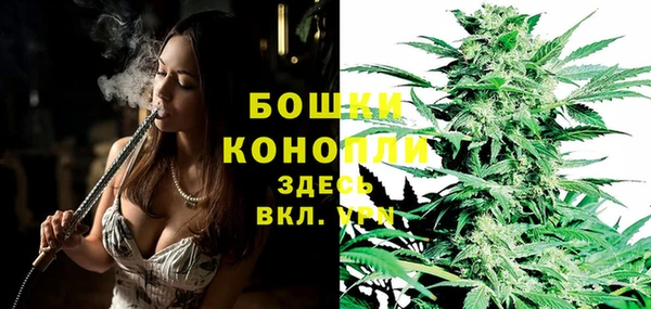 прущий лед Бородино