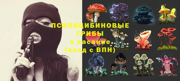 прущий лед Бородино