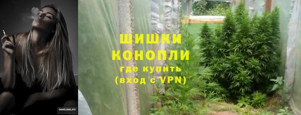прущий лед Бородино