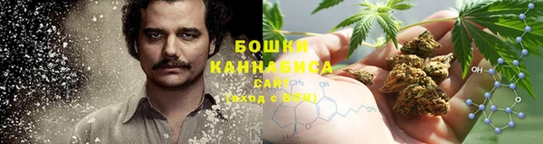 мескалин Богданович