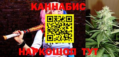 ешки Гай