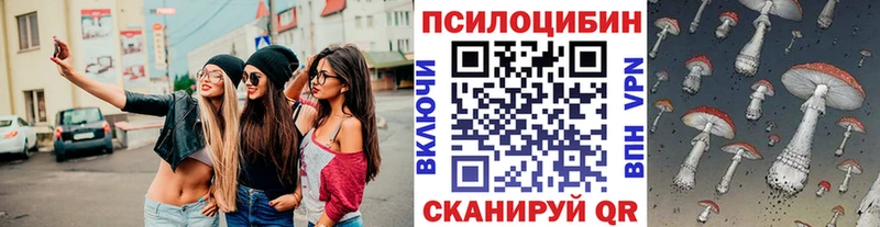 Галлюциногенные грибы Psilocybe  мега рабочий сайт  Бугуруслан 